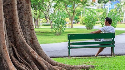 Mosquito Control for Municipal Parks and School Playgrounds