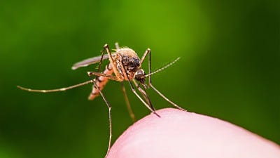 National Mosquito Control Awareness Week: Get the Facts