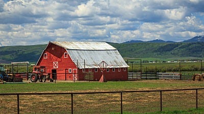 The Ultimate Guide to Mosquito Management on the Farm