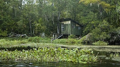 Two New Invasive Mosquitoes Hit Mainland U.S.