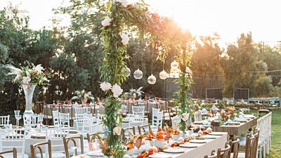 Your Outdoor Wedding: How to Keep Mosquitoes Away