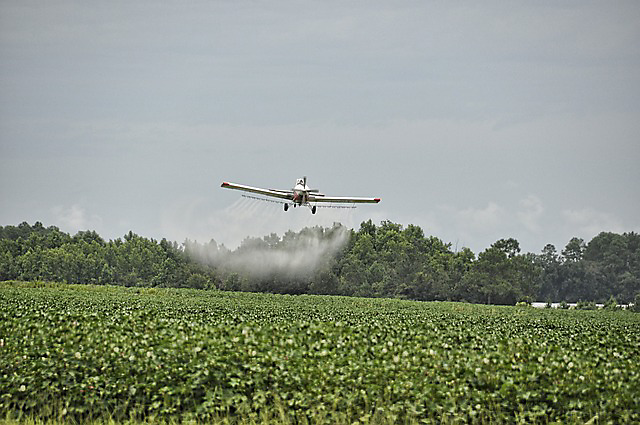 Spraying Peticides