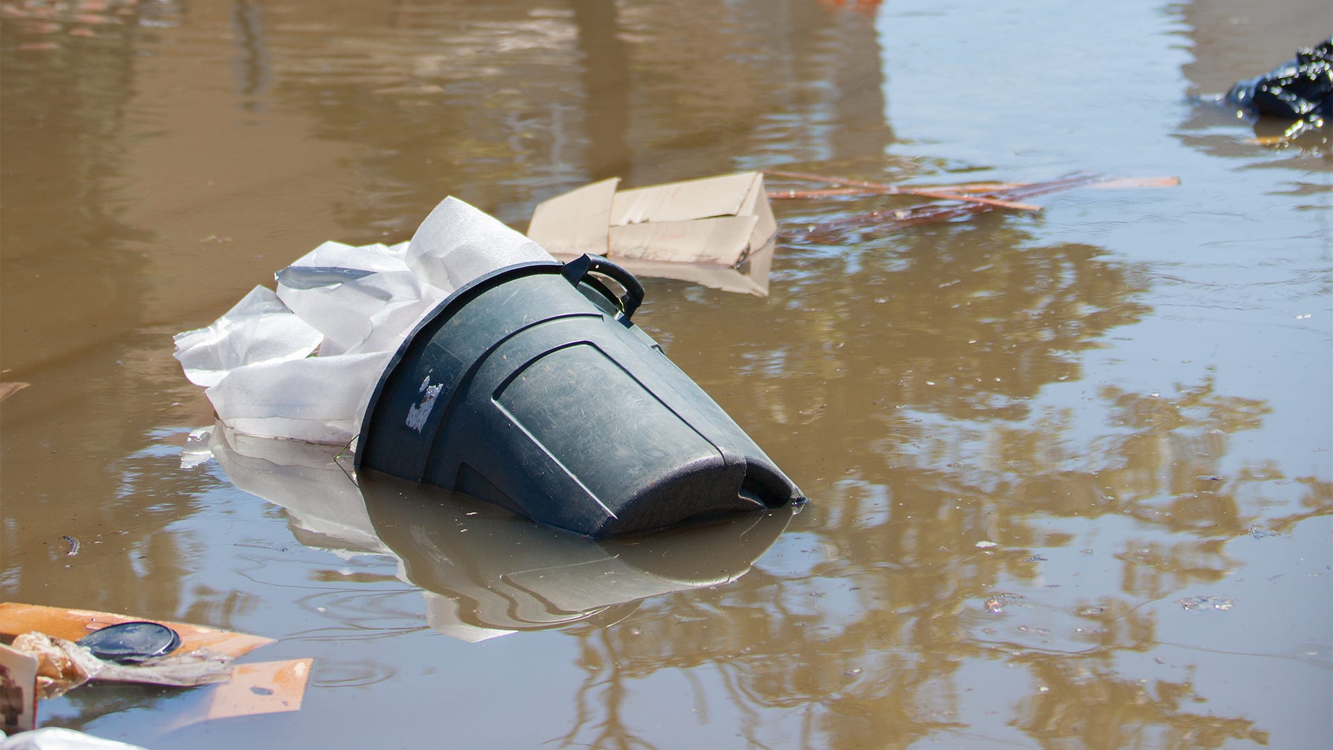 Flooding Checklist: How to Stop a Mosquito Outbreak