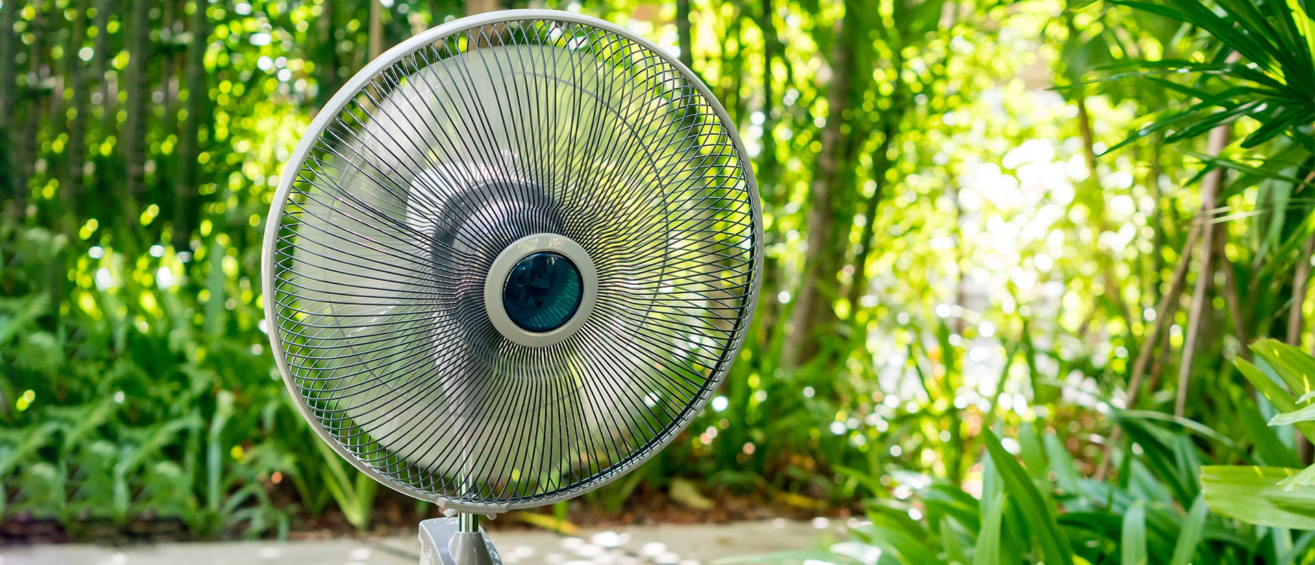 mosquito air curtain with fans