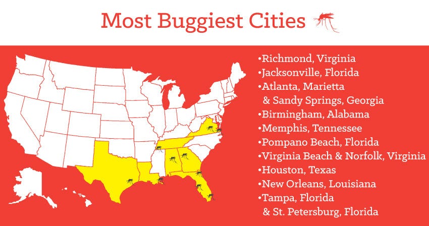 Most Buggiest Cities