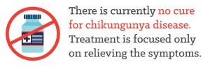 chikungunya-cure