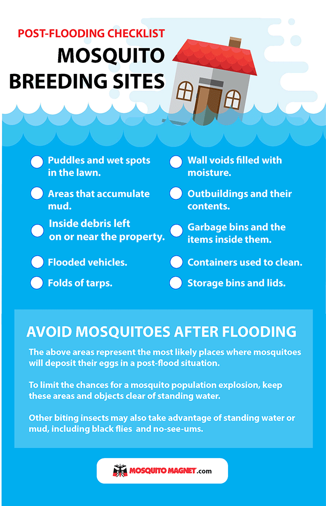 Mosquito Problems After Floods