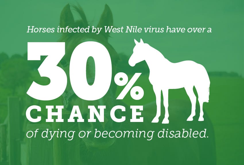 Horses infected by West Nile virus have over a 30% chance of dying or becoming disabled