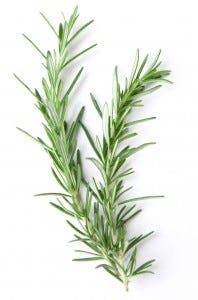 scents that repel mosquitoes rosemary