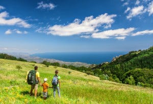 Family walking on field