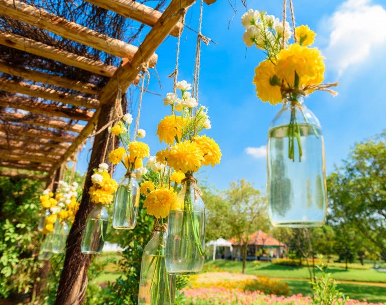 repel mosquitoes with marigolds