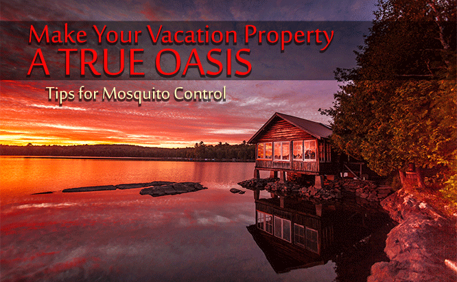 Vacation Rental Mosquito Control