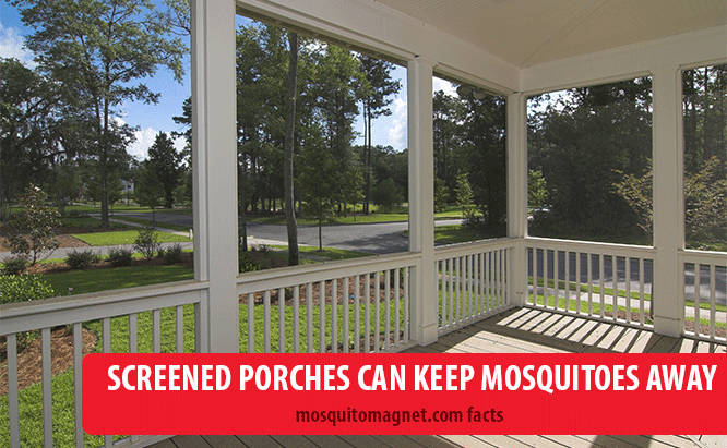 landscaping for mosquitoes screened porches