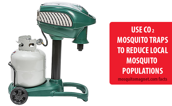 landscaping for mosquitoes add CO2 mosquito traps