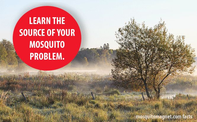 Learn the source of your mosquito problem