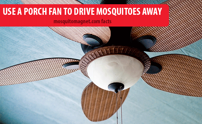 landscaping for mosquitoes use fans to drive mosquitoes away