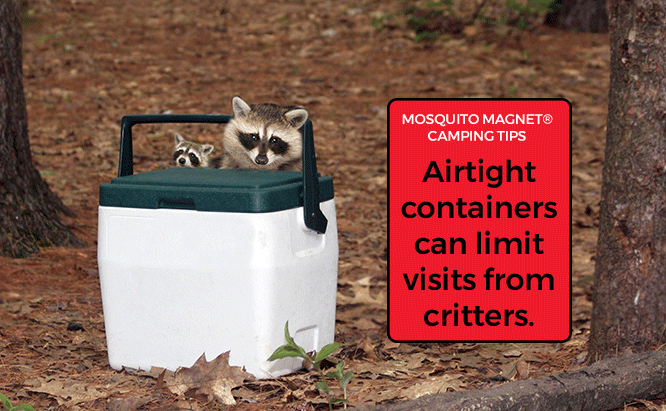 First Time Camping Tips Unwanted Animals at Campsite