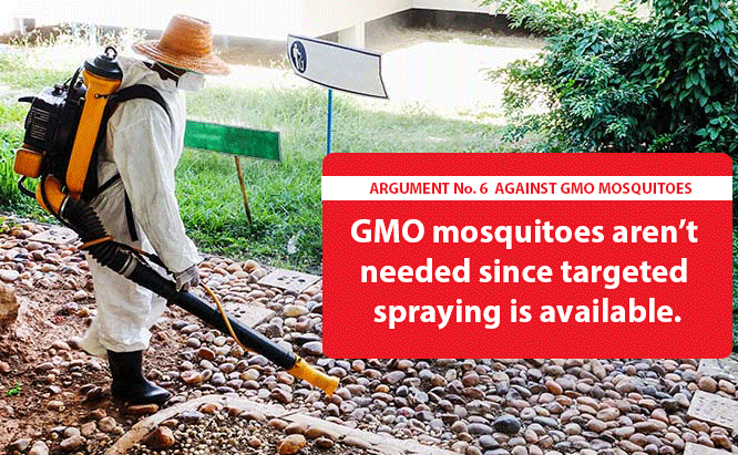 Cons of GMO Mosquitoes