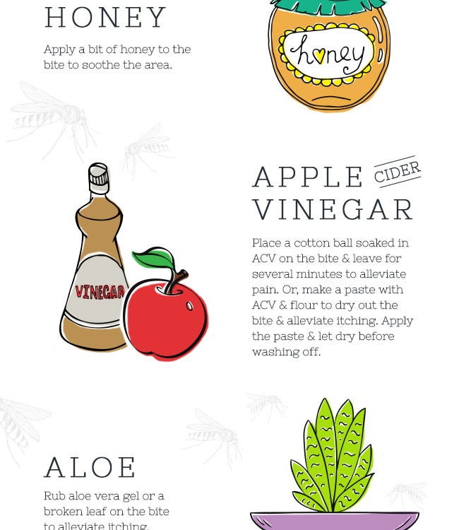 How to Relieve Mosquito Bite Itch Naturally - Honey, Apple Cider Vinegar and Aloe