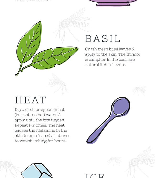 How to Relieve Mosquito Bite Itch Naturally - Basil and Heat