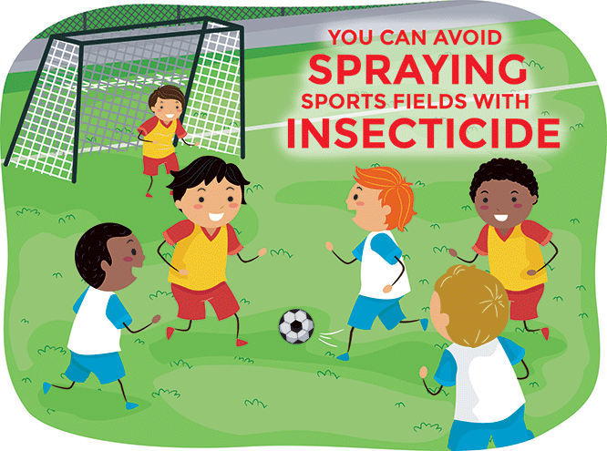 You can avoid spraying sports fields with insecticide