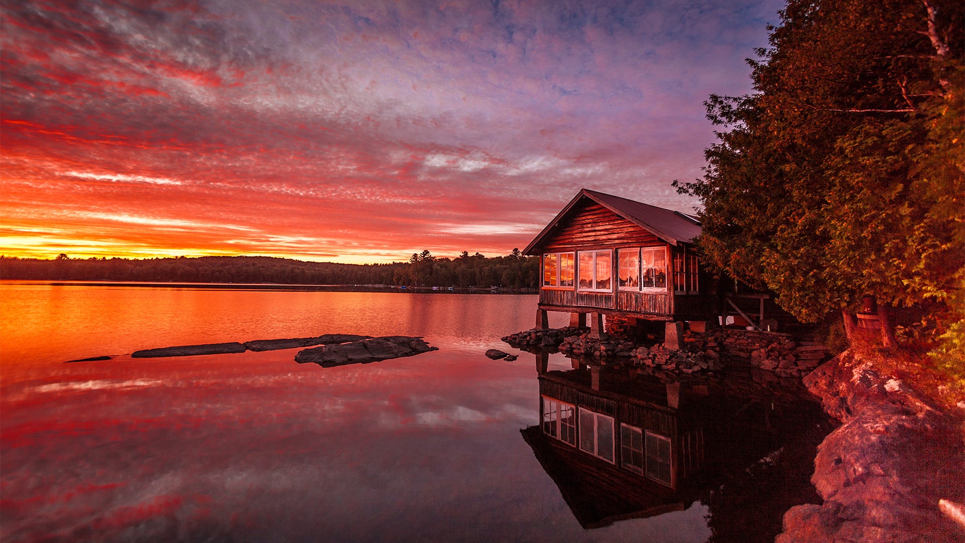 What Are Mosquitoes’ Favorite Vacation Spots? What Are Mosquitoes’ Favorite Vacation Spots?