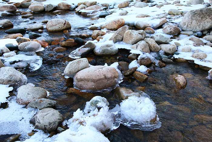 Mosquito Magnet - How do insects live in freezing water?