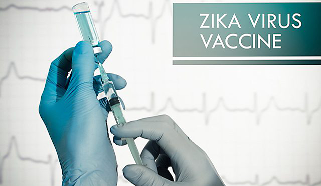 Zika Virus Vaccine