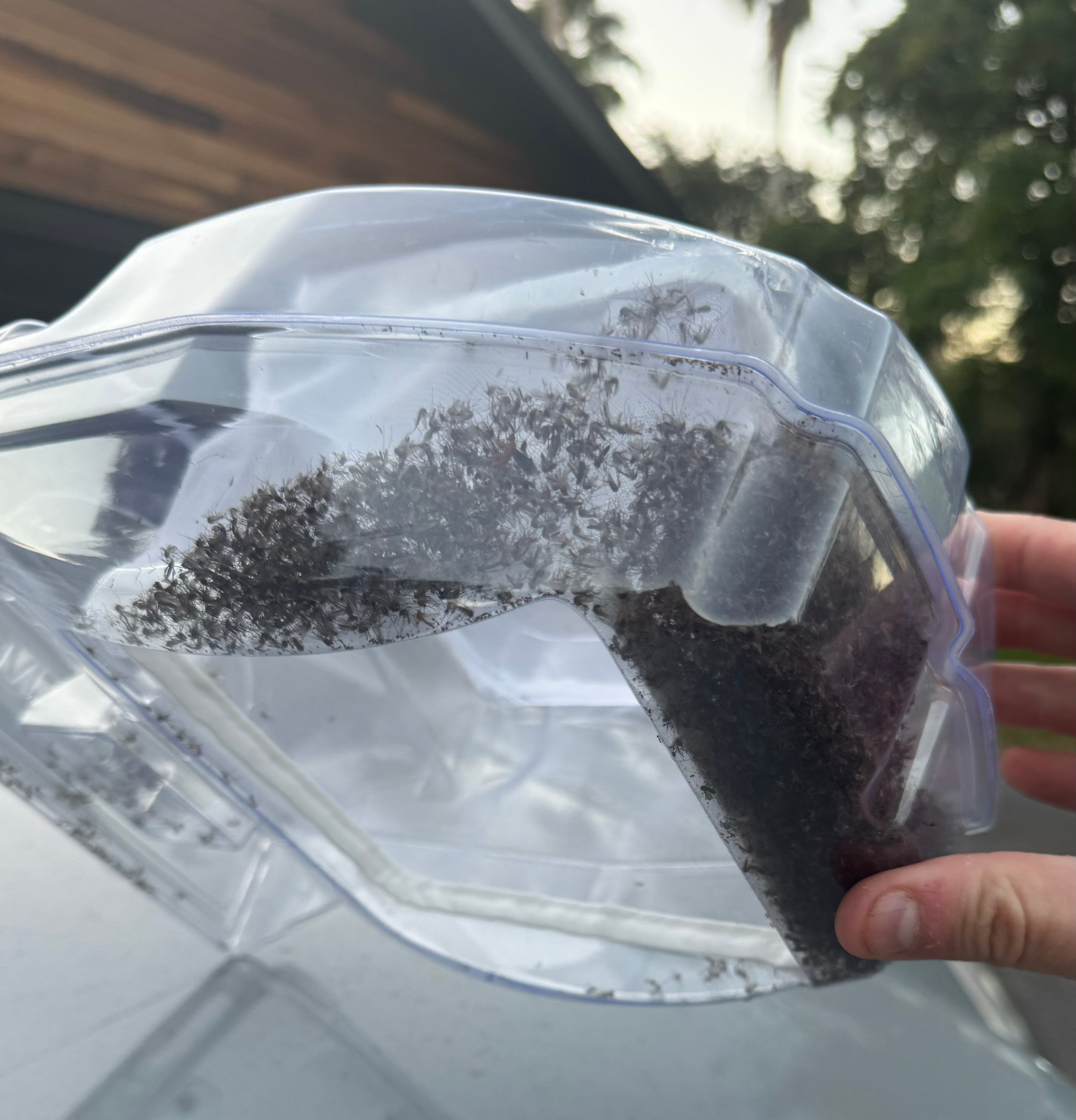 A real photo of  Mosquito Magnet® Patriot Plus Mosquito Trap by Better Than Expected  (1)