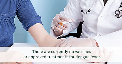 Dengue Fever Treatment