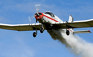 Tips to Control Mosquito Breeding on Your Property
