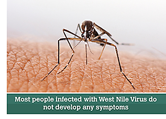 What Is West Nile Virus? | History & Dangerous Forms