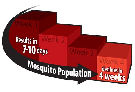 See a Sharp Drop in Mosquitoes